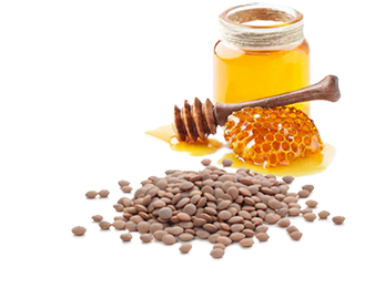 Lentil twists with honey
