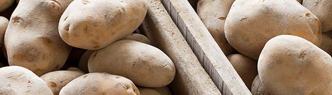 Patatas